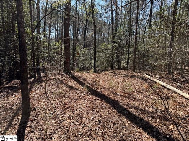 0 Golden Hickory Drive, Anderson, SC 29621