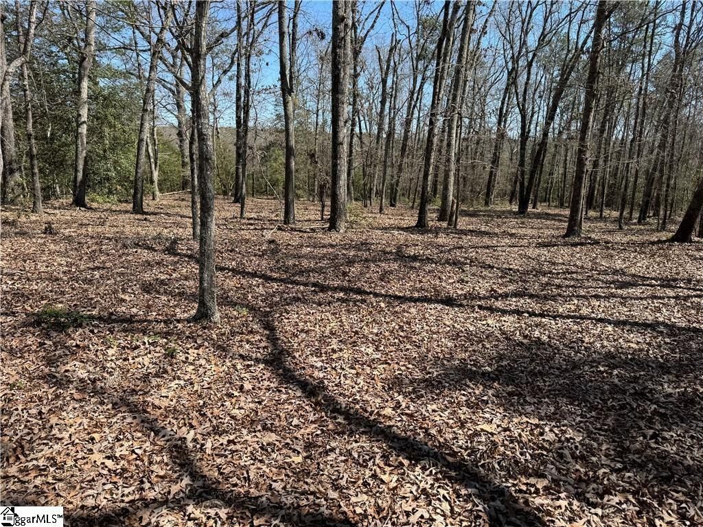 0 Golden Hickory Drive, Anderson, SC 29621
