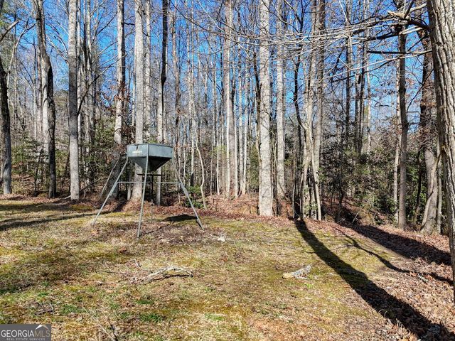 1852 St Highway 325, Blairsville, GA 30512