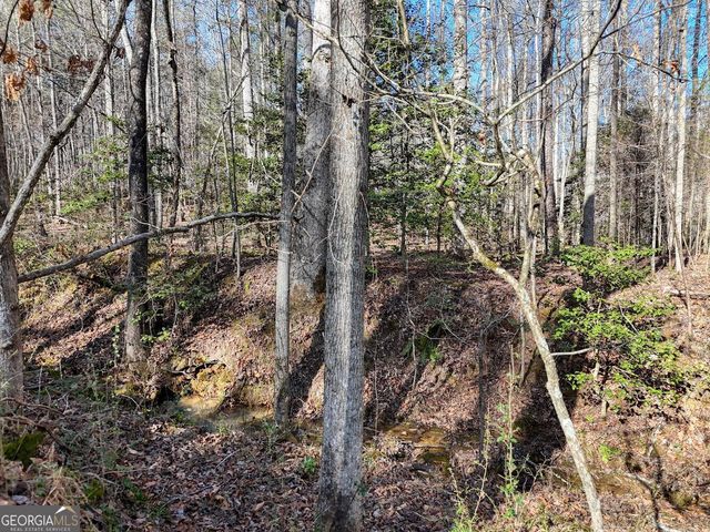 1852 St Highway 325, Blairsville, GA 30512