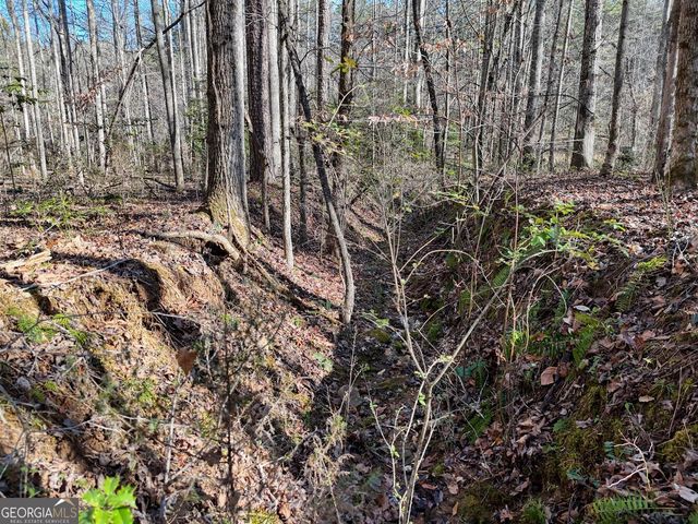 1852 St Highway 325, Blairsville, GA 30512