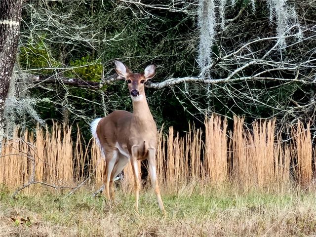 8863 S EVANS AVENUE, Inverness, FL 34452