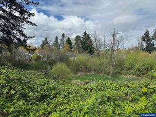 Off Spicetree Ln, Salem, OR 97306