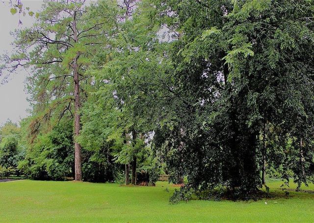 149 Springs Edge Drive, Conroe, TX 77356