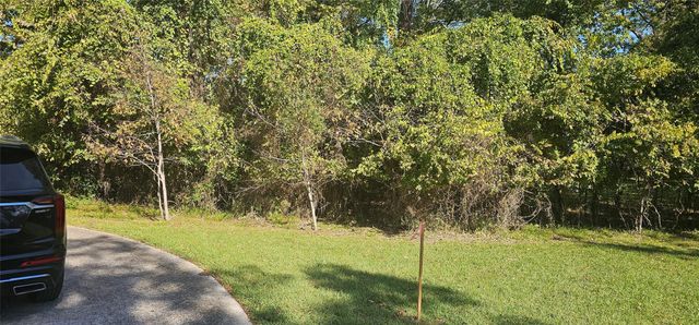 149 Springs Edge Drive, Conroe, TX 77356