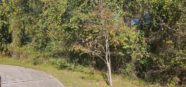 149 Springs Edge Drive, Conroe, TX 77356