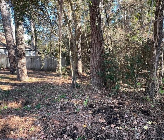 149 Springs Edge Drive, Conroe, TX 77356