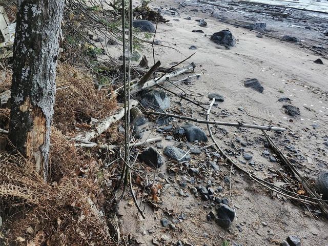 6856W Wolf Island Road, Hayward, WI 54843