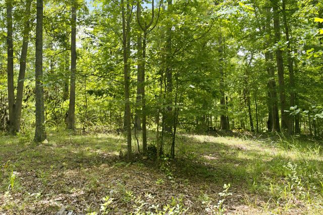 0 Strawberry Hill Rd, Goodlettsville, TN 37072