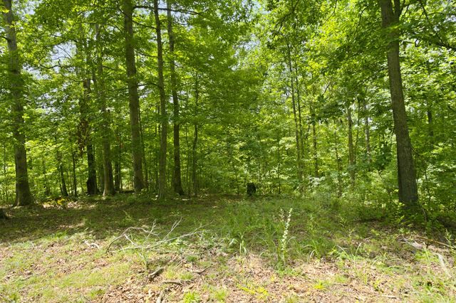 0 Strawberry Hill Rd, Goodlettsville, TN 37072