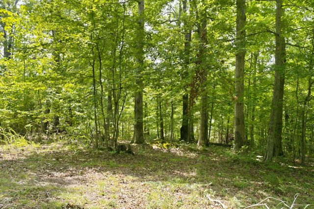 0 Strawberry Hill Rd, Goodlettsville, TN 37072