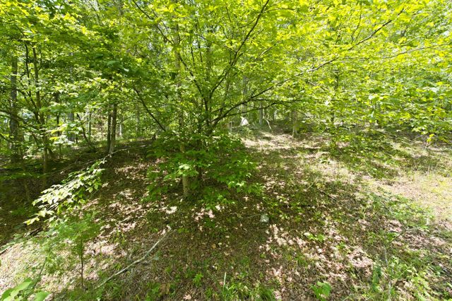 0 Strawberry Hill Rd, Goodlettsville, TN 37072