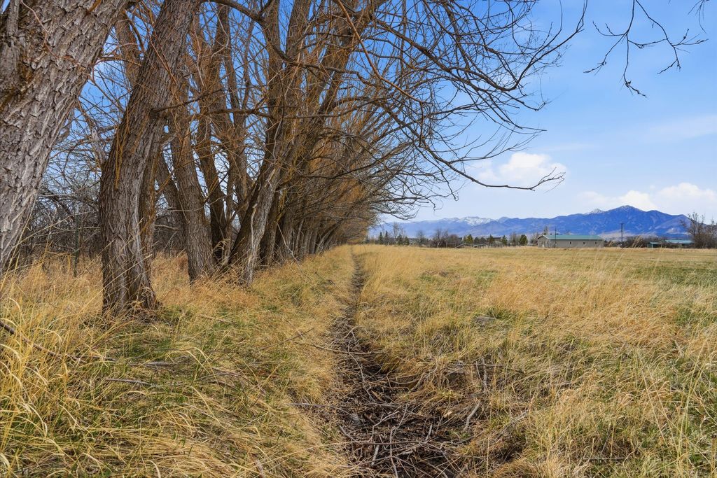 6133 Bigelow Road, Bozeman, MT 59718 photo 29