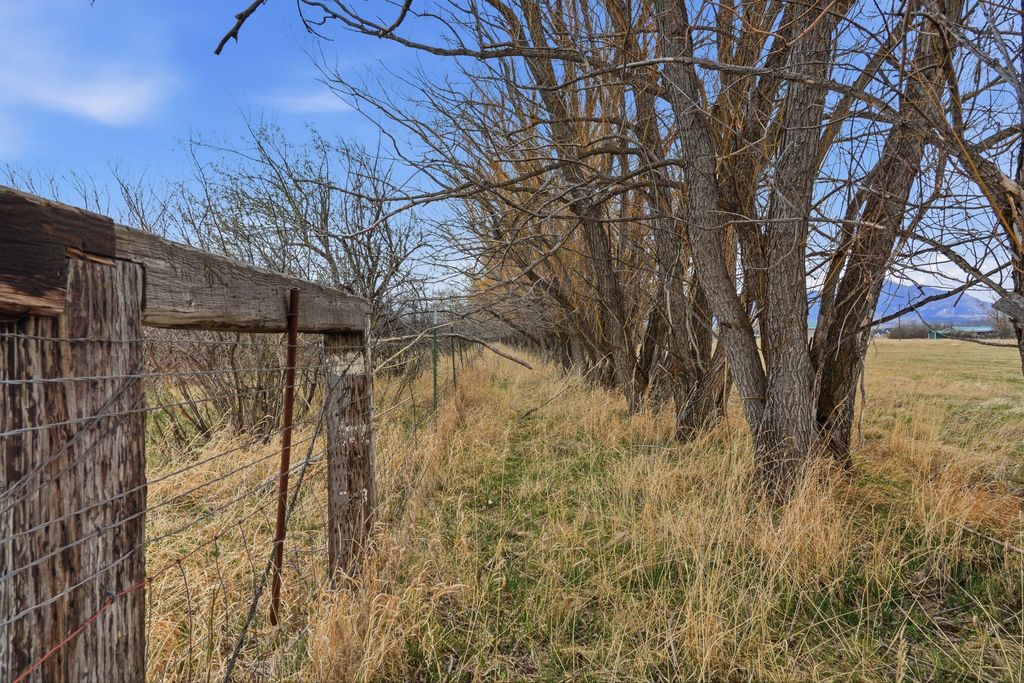 6133 Bigelow Road, Bozeman, MT 59718 photo 30