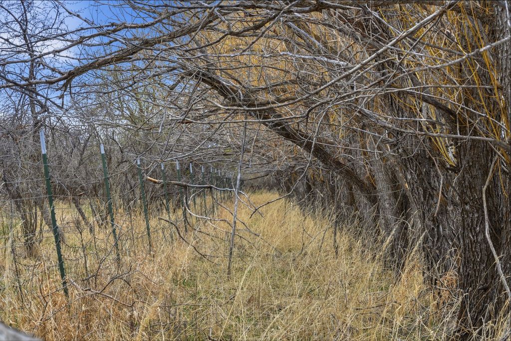 6133 Bigelow Road, Bozeman, MT 59718 photo 31