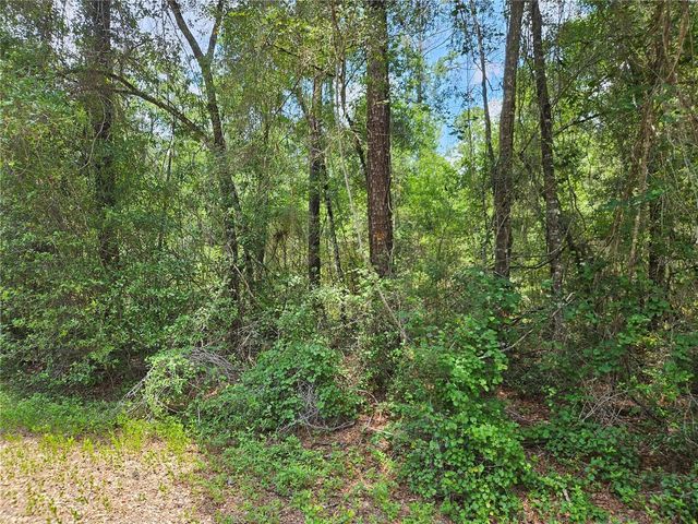 1582 DERBY DR., Dunnellon, FL 34434