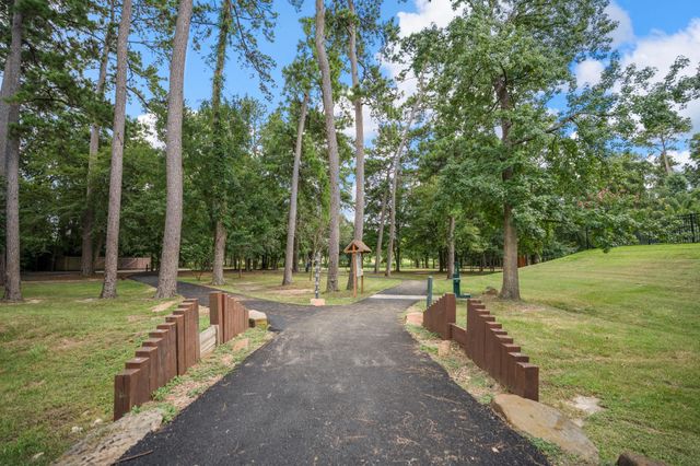19106 S Rim Trail, Spring, TX 77388