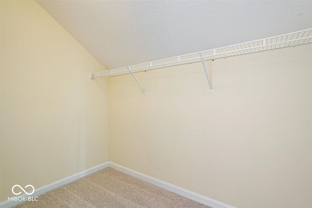 8682 N Dresden Drive, Mccordsville, IN 46055