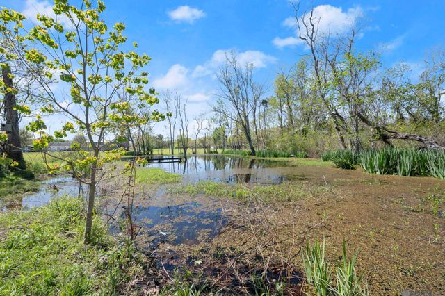 12417 Roddy Rd, Gonzales, LA 70737