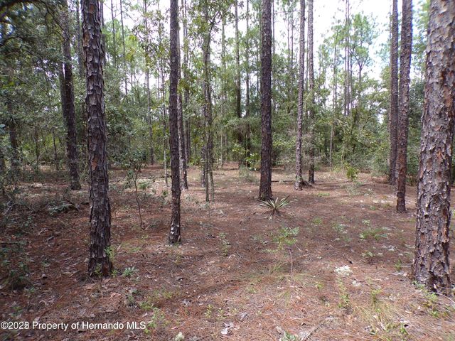 601 E Marquette Lane, Citrus Springs, FL 34434