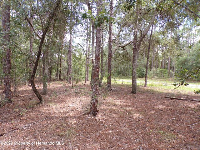 601 E Marquette Lane, Citrus Springs, FL 34434