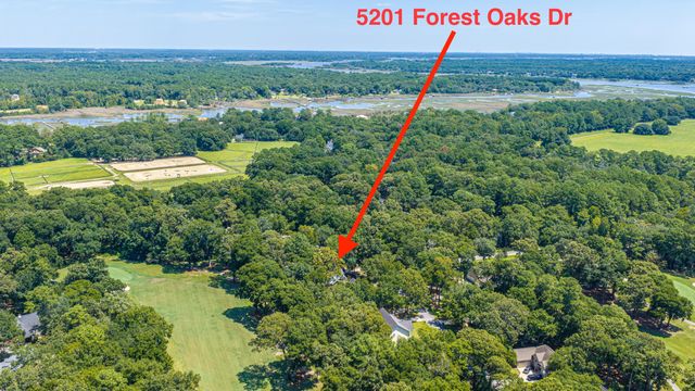 5201 Forest Oaks Drive, Hollywood, SC 29449