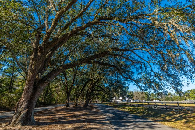5201 Forest Oaks Drive, Hollywood, SC 29449