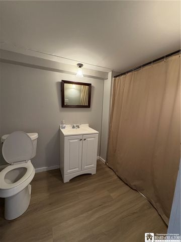 22 Olive Avenue, Busti, NY 14750