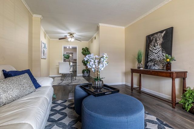 13535 Red Fern Lane, Dallas, TX 75240