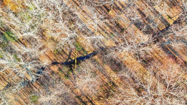 5050 Falkland Road, Scottsburg, VA 24589