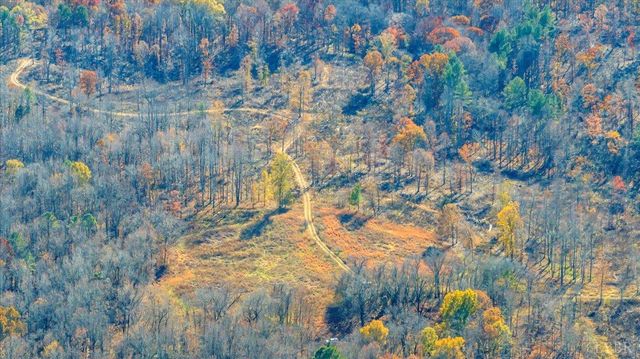 5050 Falkland Road, Scottsburg, VA 24589