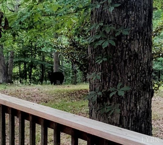 5050 Falkland Road, Scottsburg, VA 24589