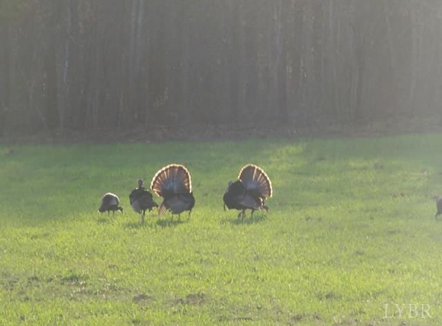 5050 Falkland Road, Scottsburg, VA 24589