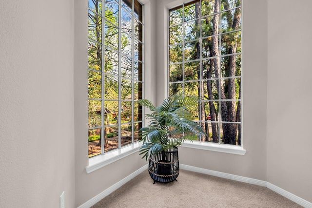 22 Cedar Chase Place, The Woodlands, TX 77381