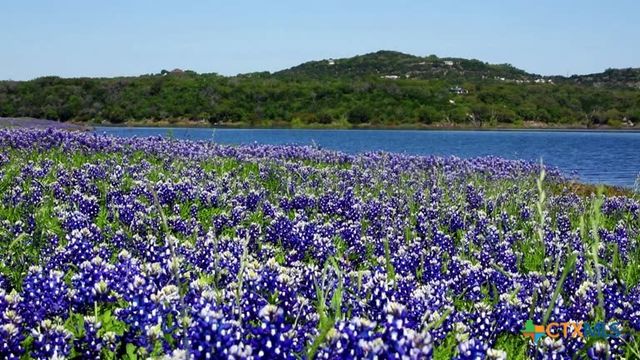 TBD Oakwood Loop, San Marcos, TX 78666