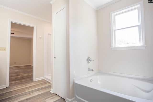 1611 Lewis Street, Camden, SC 29020