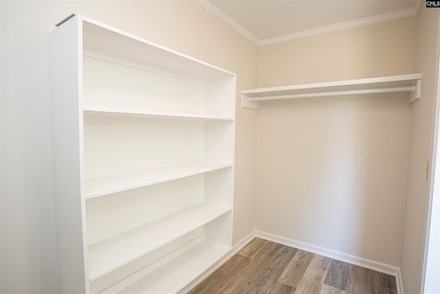 1611 Lewis Street, Camden, SC 29020