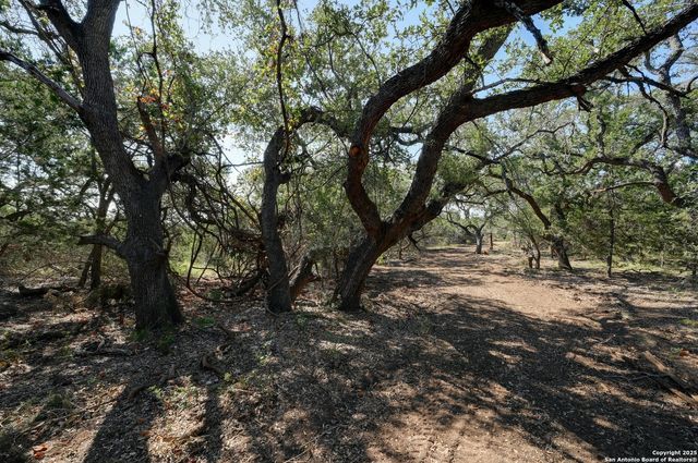 TRACT 4 Pierson Road, Blanco, TX 78606