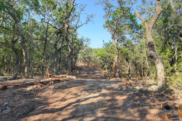 TRACT 4 Pierson Road, Blanco, TX 78606