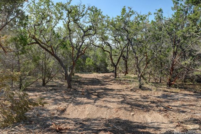 TRACT 4 Pierson Road, Blanco, TX 78606