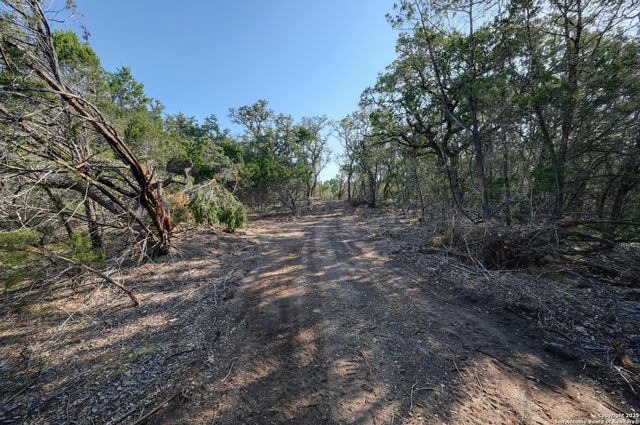 TRACT 4 Pierson Road, Blanco, TX 78606