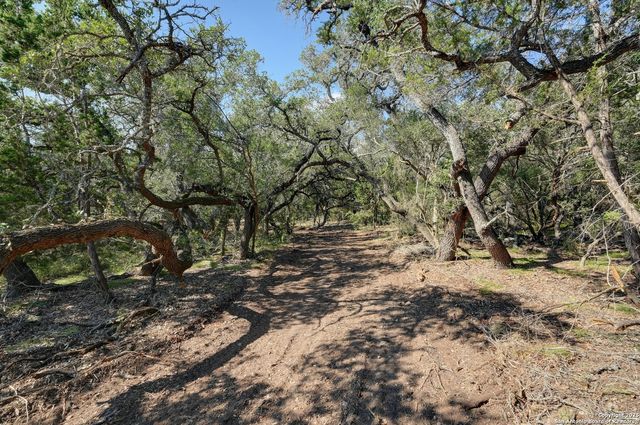 TRACT 4 Pierson Road, Blanco, TX 78606