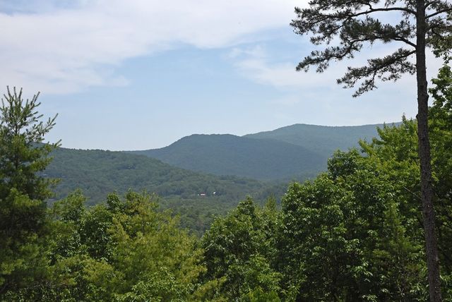 73 Rosiey Lane, Blue Ridge, GA 30513