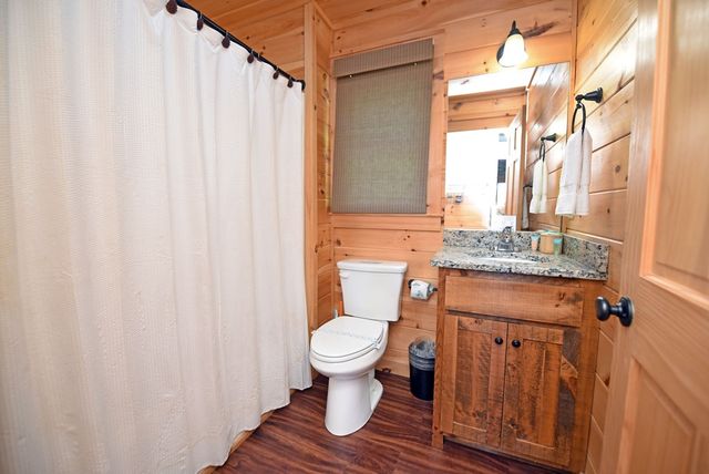 73 Rosiey Lane, Blue Ridge, GA 30513