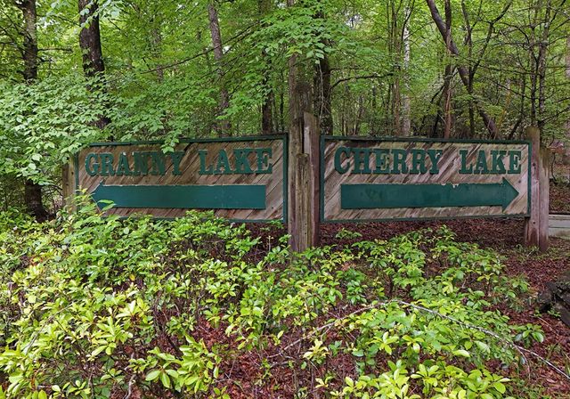 73 Rosiey Lane, Blue Ridge, GA 30513
