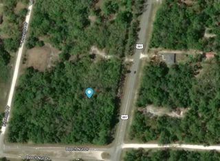 7445 TREIMAN BOULEVARD, Webster, FL 33597