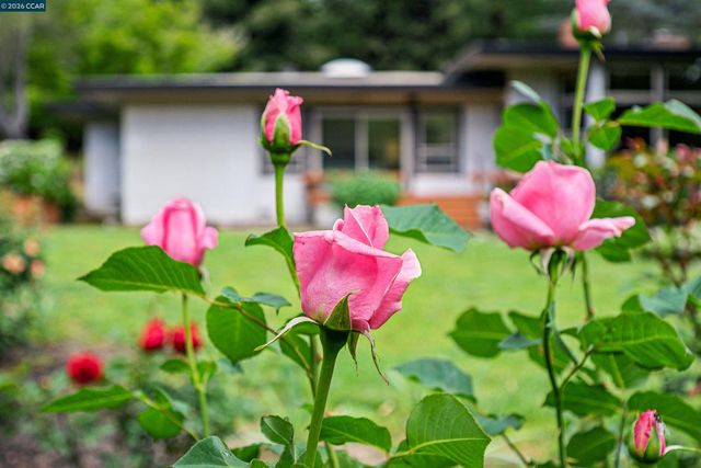 3814 Happy Valley Rd, Lafayette, CA 94549