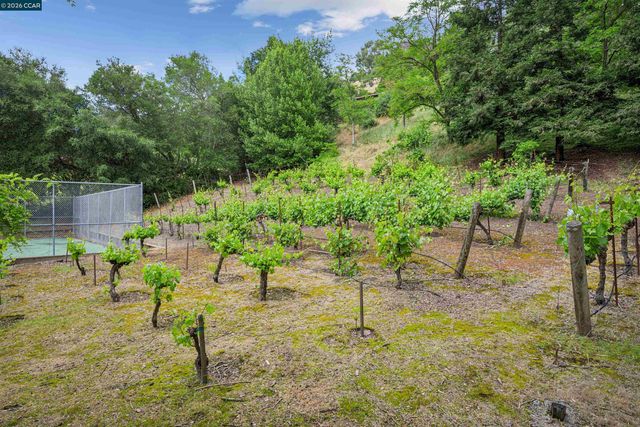 3814 Happy Valley Rd, Lafayette, CA 94549