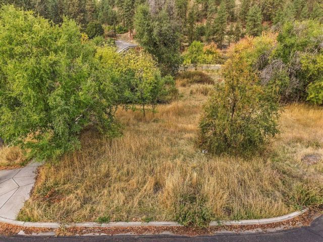 1010 S Spruce St, Spokane, WA 99224