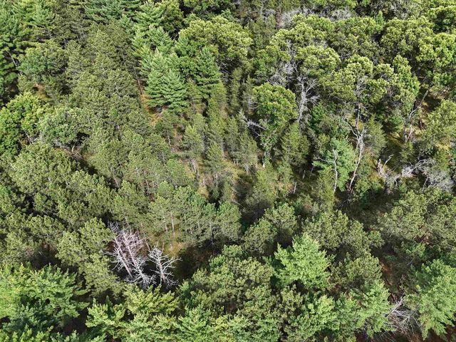 5.6 Acres 16th Avenue, Arkdale, WI 54613